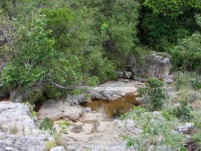 EXCURSÃO A SERRA DE ITABAIANA