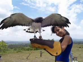 Passeio a Serra e ao parque dos Falcões