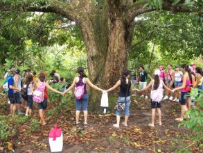 Passeio a Serra e ao parque dos Falcões