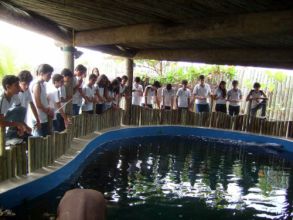 EXCURSÃO A CCTECA E AO OCEANÁRIO