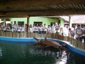 EXCURSÃO A CCTECA E AO OCEANÁRIO