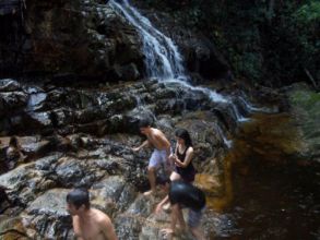 Visita ao Parque dos Falcões - 1ºs Anos