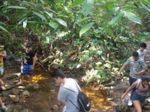 Visita ao Parque dos Falcões - 1ºs Anos