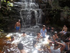 Visita ao Parque dos Falcões - 1ºs Anos