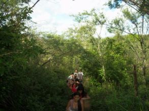 Visita ao Parque dos Falcões - 1ºs Anos