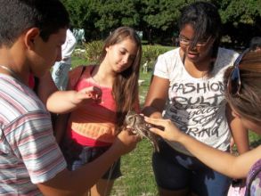 Visita ao Parque dos Falcões - 1ºs Anos