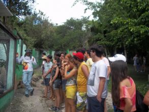 Visita ao Parque dos Falcões - 1ºs Anos