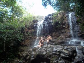 Visita ao Parque dos Falcões - 1ºs Anos