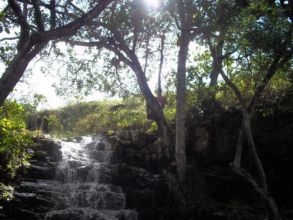 Visita ao Parque dos Falcões - 1ºs Anos