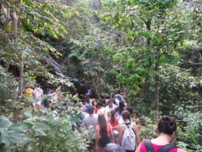 Visita ao Parque dos Falcões - 1ºs Anos